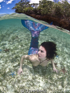 Oups...I found this mermaid during my snorkle-trip. But s... by Dave Benz 